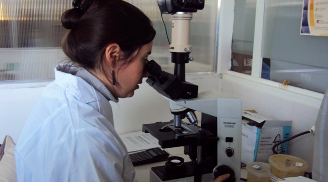 El laboratorio Central de Neuquén es uno de los que realiza los análisis. (Neuquén Informa)
