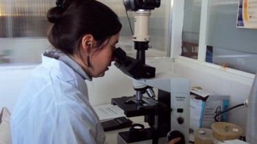 El laboratorio Central de Neuquén es uno de los que realiza los análisis. (Neuquén Informa)