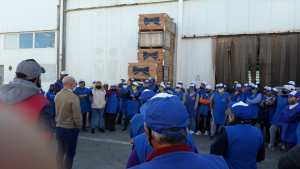 Trabajadores de empaque de Regina preocupados por nexo con caso de Cervantes