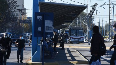 Transporte en Roca: no hay más dinero para sueldos y se mantiene el paro