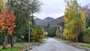 Gutiérrez destacó el cumplimiento en Neuquén de no circular el domingo