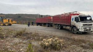 Un camión chileno que transportaba terneros volcó en la ruta 40