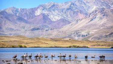 Hoy celebran su día los guardafaunas de Neuquén. Aquí, vista de Los Cerrillos Foto: Martín Muñoz.