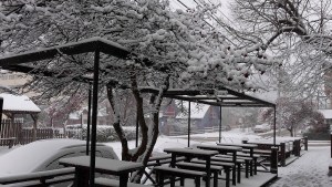 Naftas más baratas y beneficios para turistas, los pedidos de Bariloche