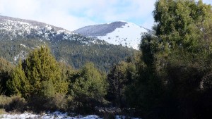 Organizaciones rechazan el remate de lotes fiscales en Bariloche