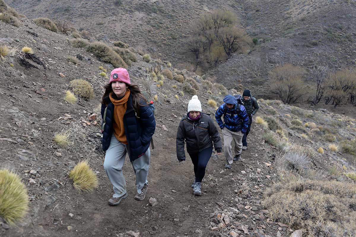 Camila Brea, Vanesa Dominguez, Diego Vera y Alejandro Micocci recorren la montaña para llevar ayuda a los pobladores, en lo alto de Villa Llanquín. Foto: Alfredo Leiva