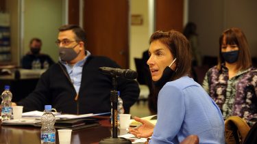 Celia Delgado, defensora ante el Tribunal Oral Federal de Roca. (Archivo)