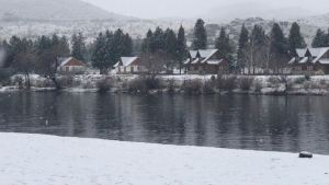 Mirá cómo está nevando en Aluminé