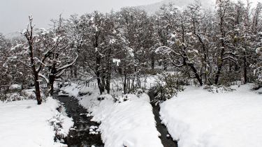 Invierno. El arroyo Partido en julio. Foto: Alejandro Carnevale.