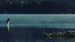 Villa Pehuenia: un guía cuenta cómo es pescar truchas en estos días en el lago Moquehue