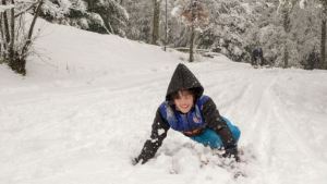 Los chicos se divierten en el bosque nevado de San Martín de los Andes