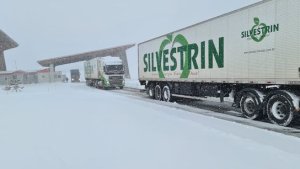 Por viento blanco cerraron el paso Pino Hachado y sectores de la Ruta 13 y 23