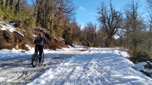 Caminar, correr, pedalear: opciones en Bariloche