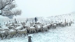Lluvia y nieve, alivio para el campo