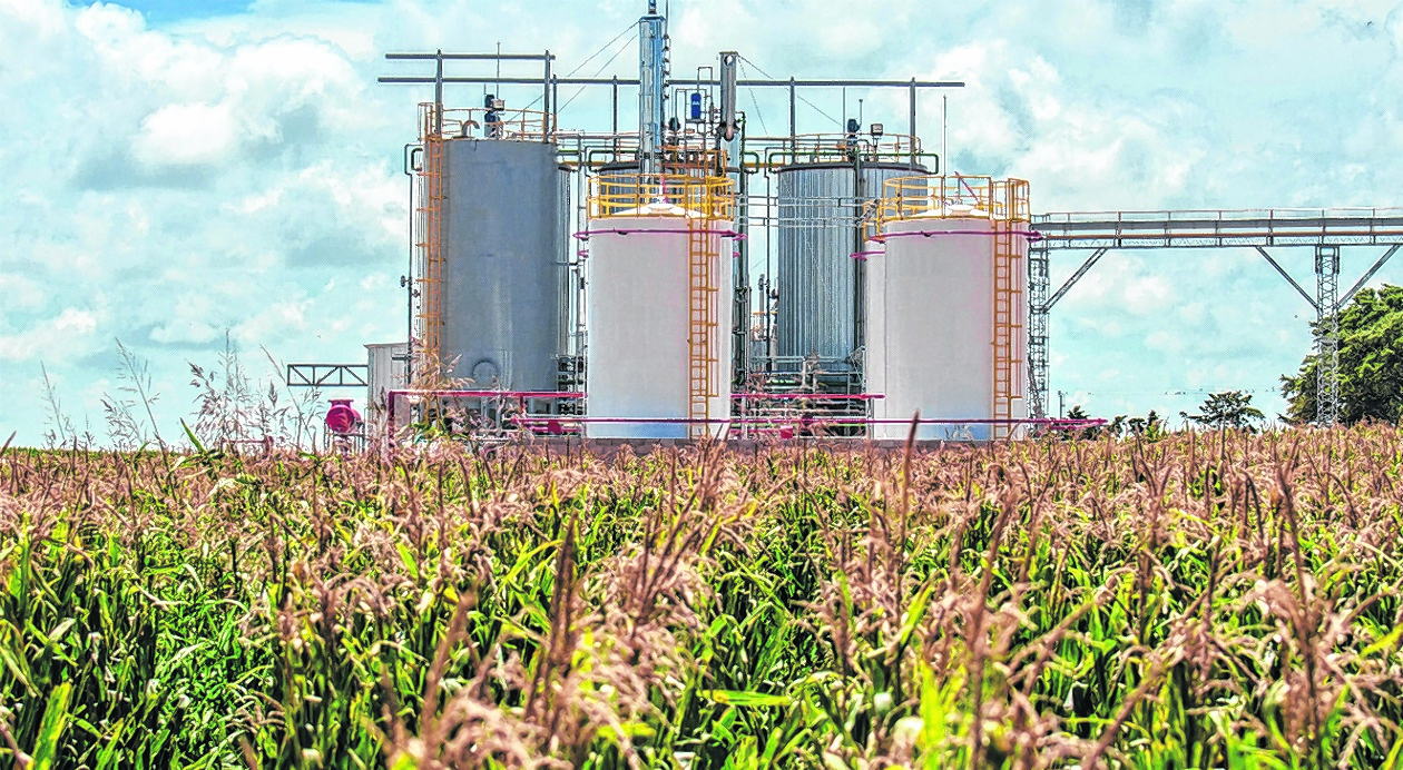 Nación elevó el precio del biodiesel con el objetivo de mejorar el abastecimiento de gasoil en el país.