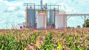 Nación recaudó $1000 millones por el menor uso de biocombustibles