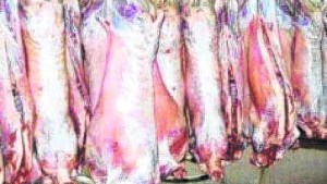 El desatino o pecado de destruir alimentos