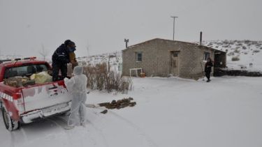 En los distintos municipios se realizó una nueva entrega de leña. (Foto: José Mellado)