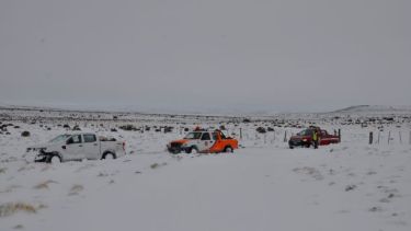 Las salidas  se realizan con varios vehículos. (José Mellado)