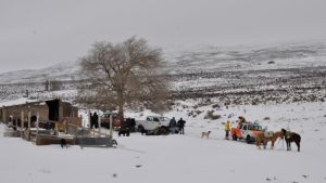 Aislados de Jacobacci: campesinos sobreviven a la nieve y al cordón sanitario