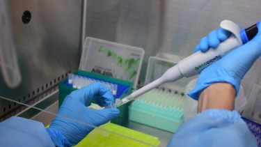 Neuquén no reportó nuevos casos de coronavirus