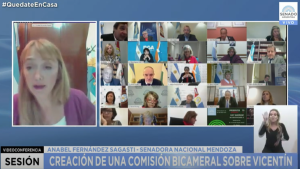 El Senado aprobó la creación de una Comisión Bicameral para investigar a Vicentin