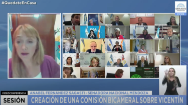 El Senado aprobó la creación de una Comisión Bicameral para investigar a Vicentin