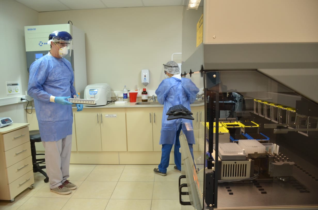 Los laboratorios privados procesaron casi 300 muestras en Neuquén. Foto: archivo.