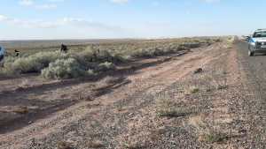 Un auto volcó en la Autovía Norte