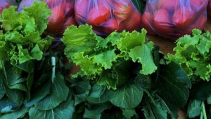 Hay nuevas formas de producción de alimentos sanos en la región