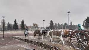 Con críticas a Koopmann, renunció el subsecretario de Gobierno de Zapala