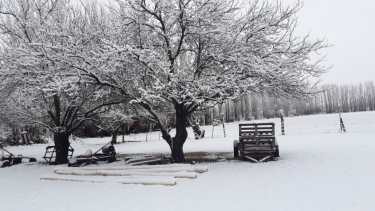 Postales de la nevada en la región