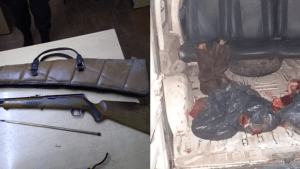Abigeato en Viedma: detuvieron a tres personas con un animal faenado