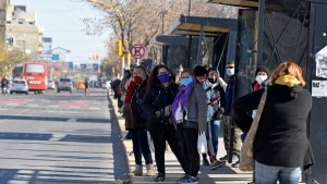 Neuquén tendrá 63 colectivos circulando por un aumento en la demanda