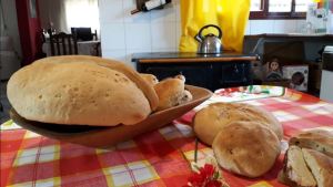Receta con historia: Secretos, rituales y tradiciones para lograr el mejor pan