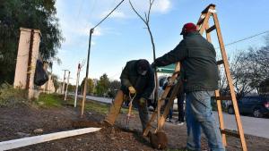 Comenzó la primera etapa de forestación en Viedma