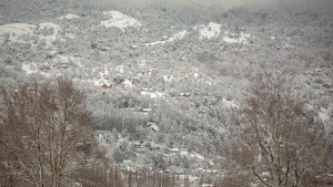 Neuquén habilita un segundo día del padre en el interior