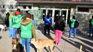Por el bono en Salud, ATE repite la protesta en los hospitales de Río Negro