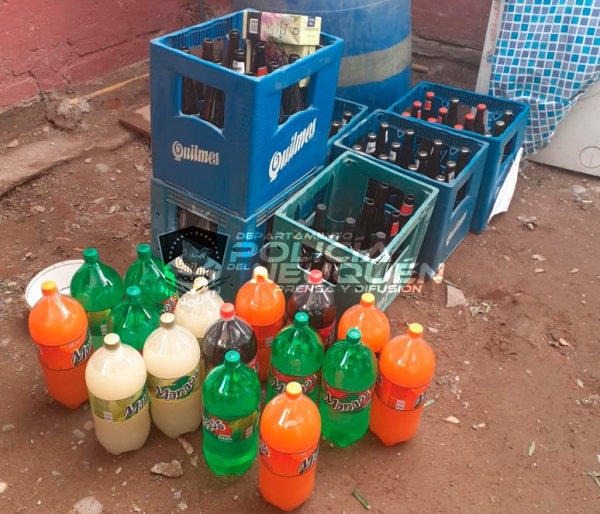 La Municipalidad de Plottier y la Policía de la Provincia frenaron la venta clandestina de bebidas alcohólicas en una vivienda particular. (Foto: Gentileza).