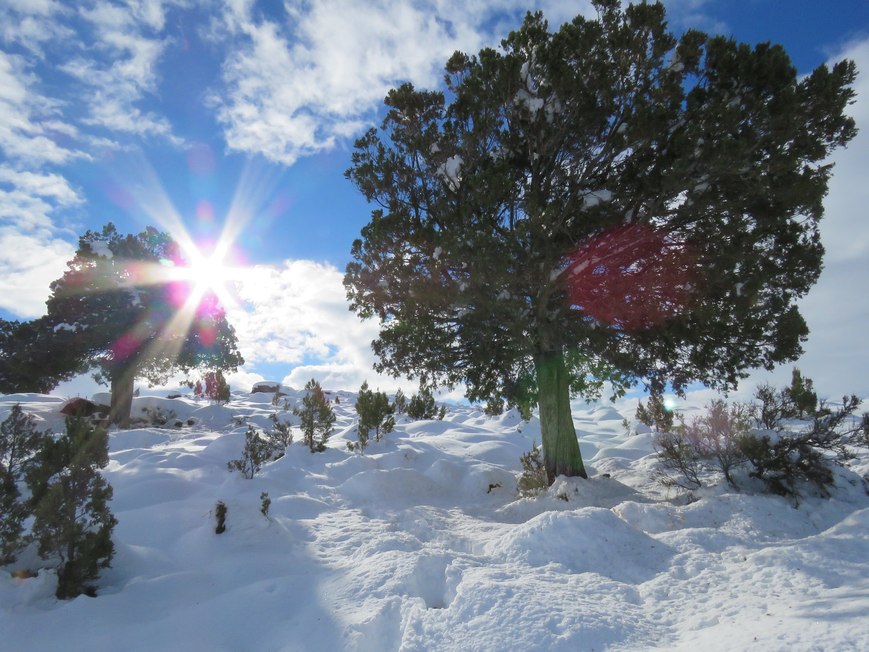 Un paisaje que en invierno resulta cautivante por la nieve. Foto Parque Nacional Lanín