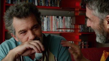 "Dolor y gloria" ganó casi todos los galardones, incluso el de Mejor Interpretación Masculina que fue para Antonio Banderas.