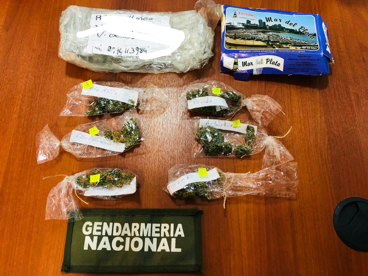 Los procedimientos se hicieron con la autorización del Juzgado Federal de Bariloche, aseguraron desde Gendarmería. (Foto Gentileza) 