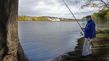 Alerta por aparición de un pez exótico en el río Limay que provino del Atlántico
