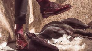 Diseñadores patagónicos en cuarentena: en qué anda Horacio Caillaud