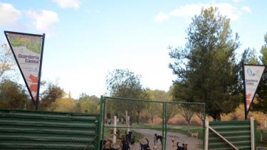 Reacondicionarán la guardería canina en Cipolletti. (Foto archivo)