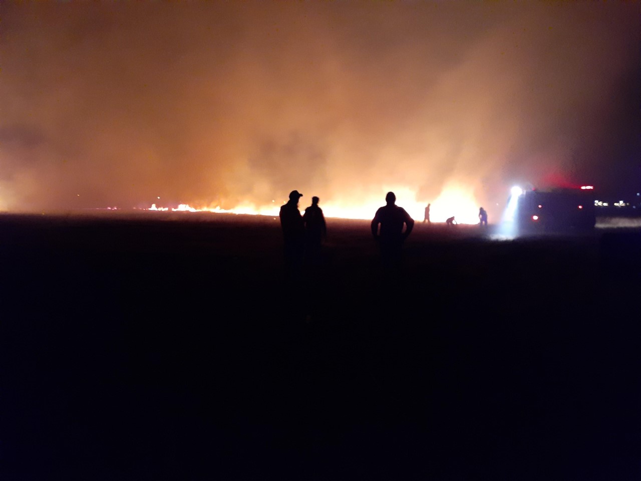 El incendio afectó 5 hectáreas en la zona rural de Regina. (Foto Pablo Accinelli)