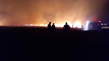 El incendio afectó 5 hectáreas en la zona rural de Regina. (Foto Pablo Accinelli)