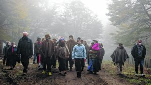 Causa mapuche: Odarda dijo que el STJ lanzó un mensaje “disciplinador” a jueces y fiscales
