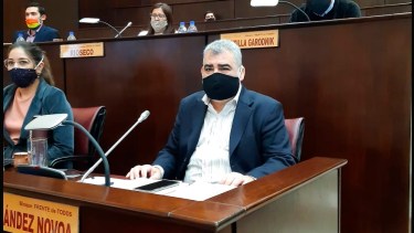 El legislador Sergio Fernández Novoa fue el miembro informante.