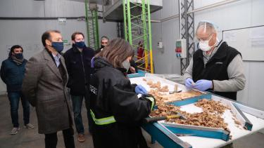 Neuquén inicia el período de exportación de nueces con un envío a Italia